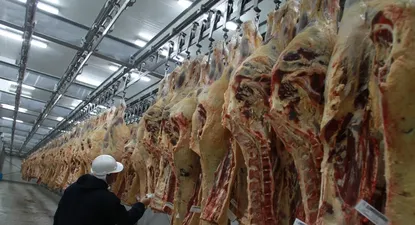Frigoríficos: subió la faena de bovinos y descendió, brúscamente, la de ovinos.