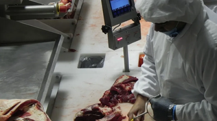 Industria frigorífica necesita imperiosamente crecer y conquistar mercados de Asía-Pacífico