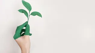 En manos de esta generación está la posibilidad de modificar modelos de producción y consumo