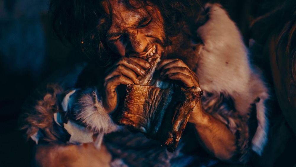 La dentadura de los humanos ha sufrido cambios a lo largo de la historia.