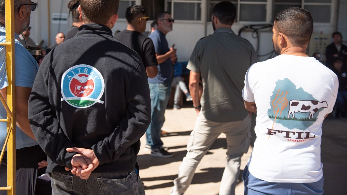 Tras dos meses, se pone en marcha la planta de Calcar: mirá qué producto y cuándo llegará a los comercios