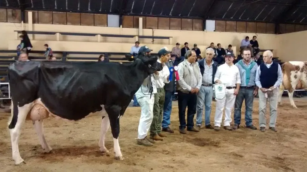 La Gran Campeona Holando PI de Antognazza en el momento de ser coronada en la Rural del Prado
