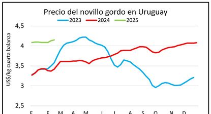 Mercado ganadero, Blasina y Asociados.