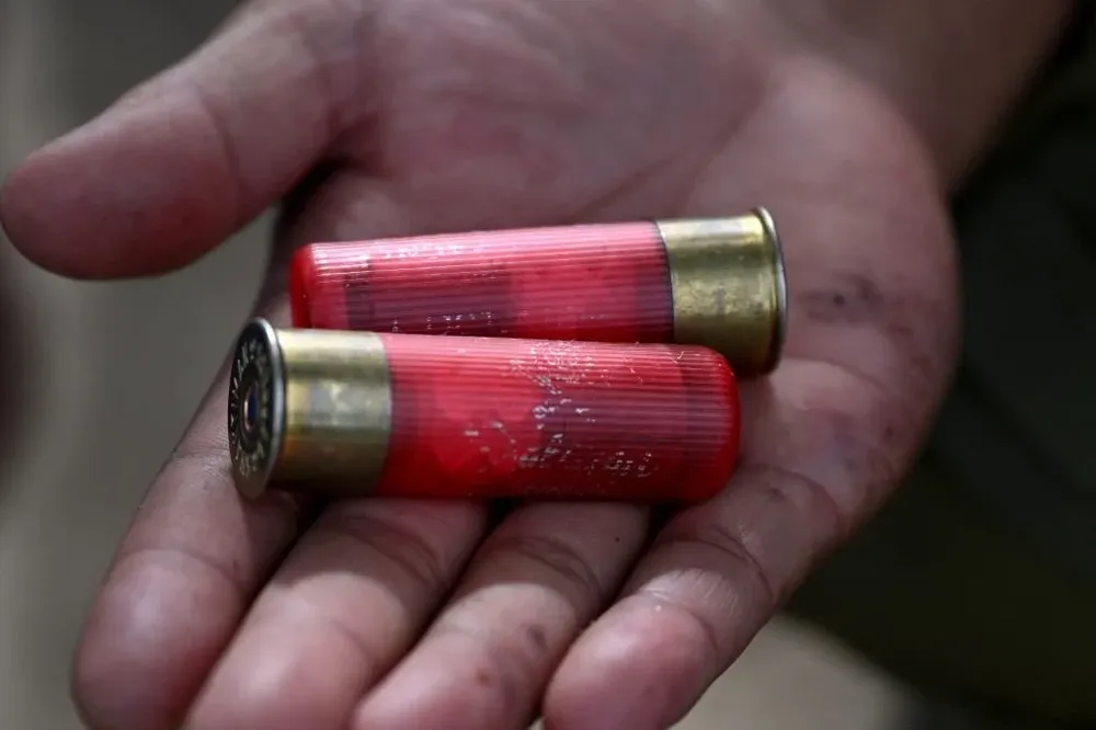 En la actualidad, India es el hogar del 75% de los tigres de todo el mundo