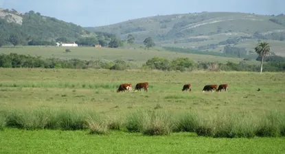 Severas críticas a la retroactividad de nuevo impuesto a la tierra