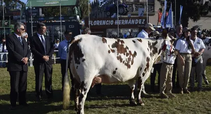 Esperanza Quebrada ganó el Gran Campeonato de la raza Normando en la Expo Prado 2022.