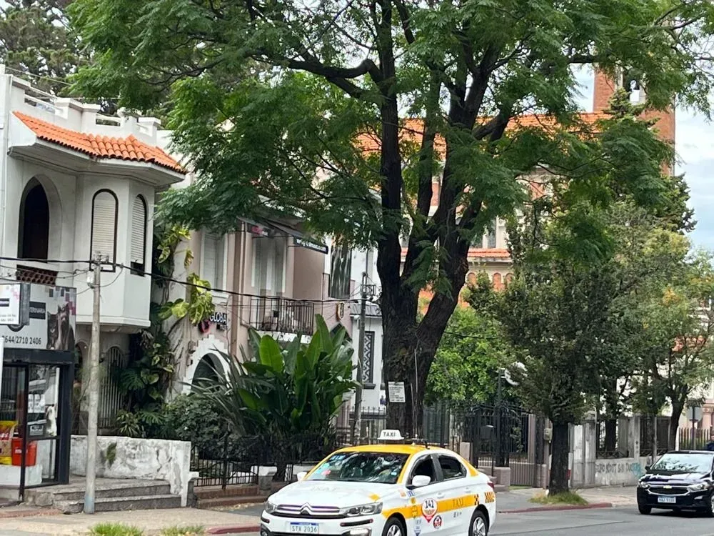 Todo el estilo de Bello y Reborati.