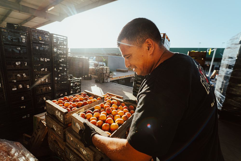 Frutas y verduras: cada año cientos de toneladas se recuperan, evitando el desperdicio y mejorando la calidad de la dieta de miles de personas en cada semana.