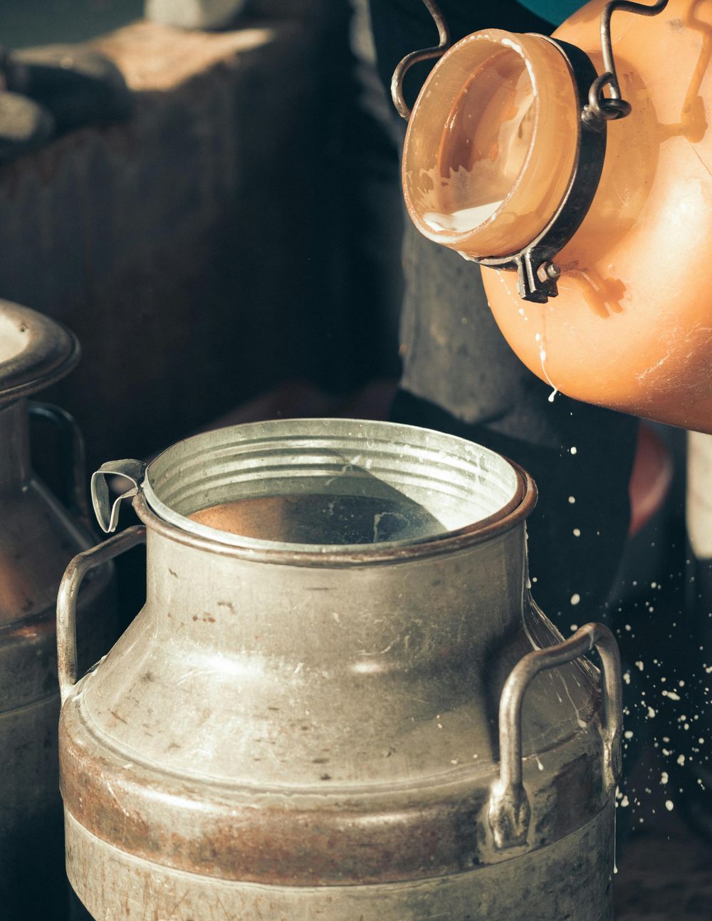 Lácteos: achique en el precio promedio para el conjunto de los productos en la subasta.