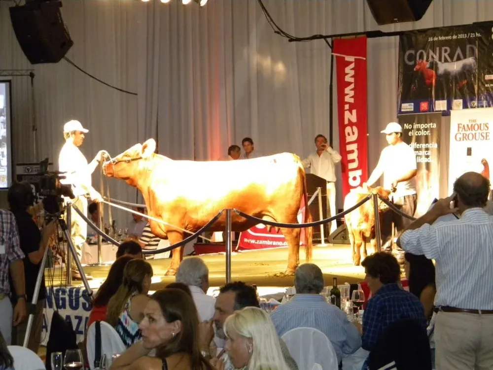 Lo mejor de la genética Angus de Uruguay se ofreció este sábado en el Conrad