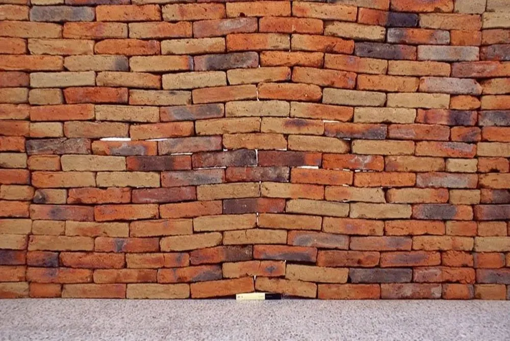 Nueva edición de Epígrafe, la newsletter de libros de El Observador