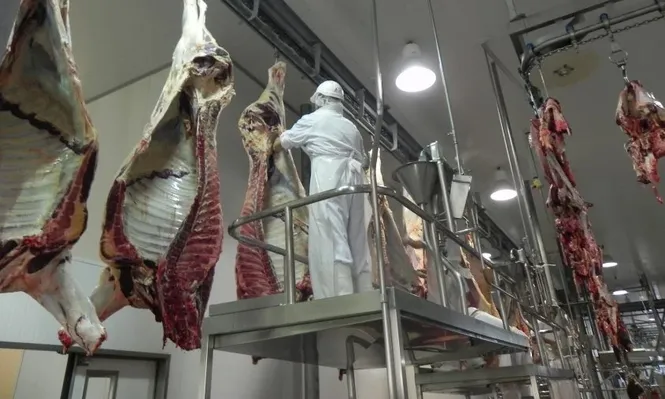 Orsi y dos de sus ministros solicitaron al Parlamento extender el subsidio por desempleo para trabajadores de tres frigoríficos.