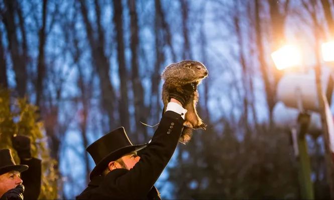 La marmota se despierta de la hibernación el 2 de febrero. Si el animal ve su sombra cuando sale de su madriguera, habrá seis semanas más de invierno. Si no, la primavera llegará pronto.