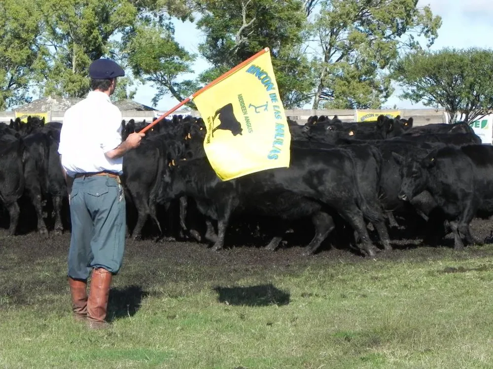 INAC e INIA promueven el valor de las buenas prácticas de manejo ganadero.
