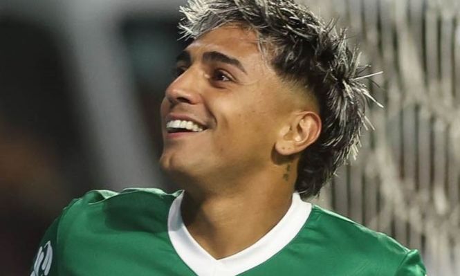 Facundo Torres anotó un golazo para Palmeiras&nbsp;