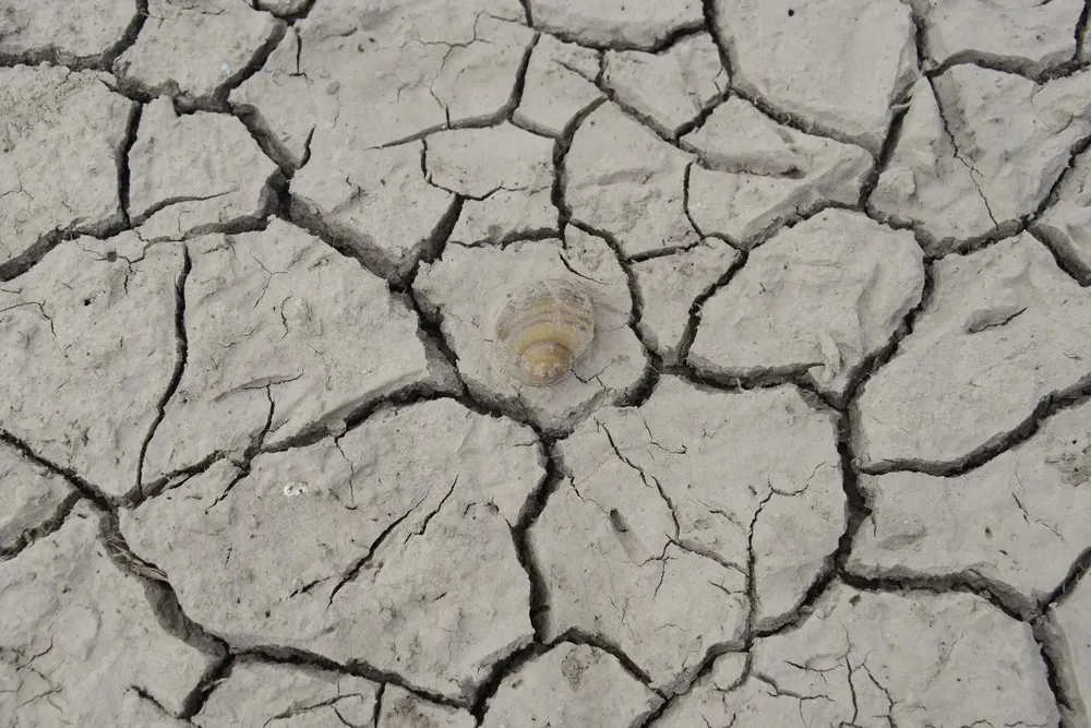Las condiciones climáticas y el precio de la energía hacen cada vez más difícil producir
