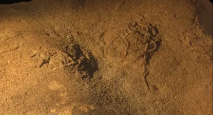 Localizan en Asturias montones fecales fósiles de gusanos arenícolas.