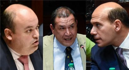 El Observador | Viera Da silva Lema