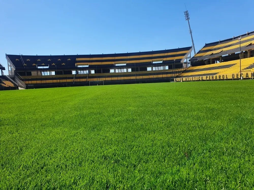 El césped del Estadio Campeón del Siglo mejoró muchísimo y así espera a la selección