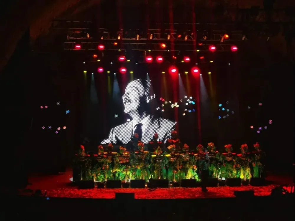 Los Diablos Verdes se presentaron en la primera etapa del concurso