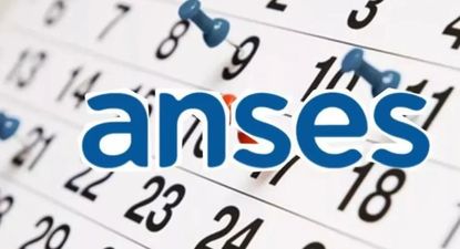 calendario anses de jubilados, pensionados, auh y suaf: cuanto cobro en enero 2025