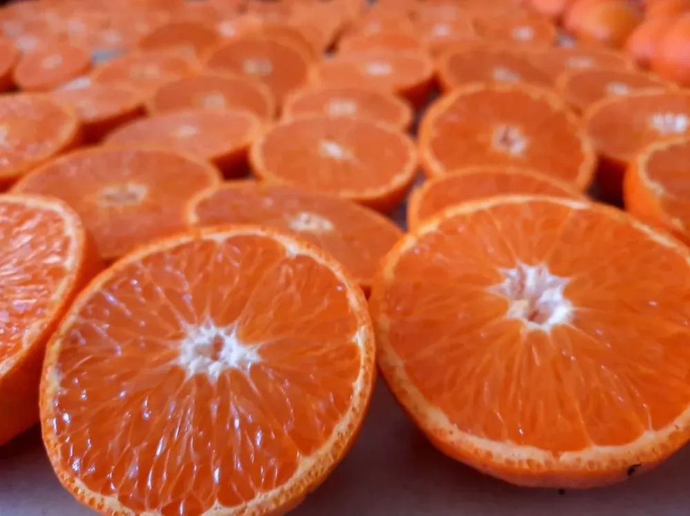 Objetivo: frutas ricas, nutritivas y sanas.