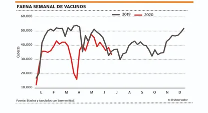 El Observador | 1594330020407.webp
