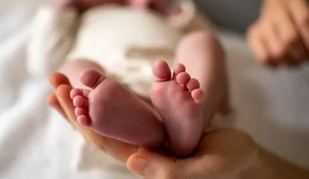 Nacen menos bebés en España