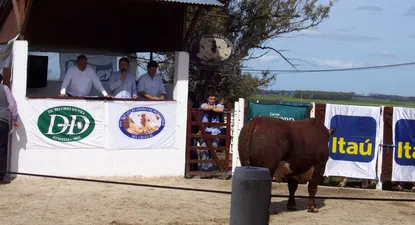 Daniel Dutra, Ricardo Reilly y Patricio Cortabarría dieron la bienvenida