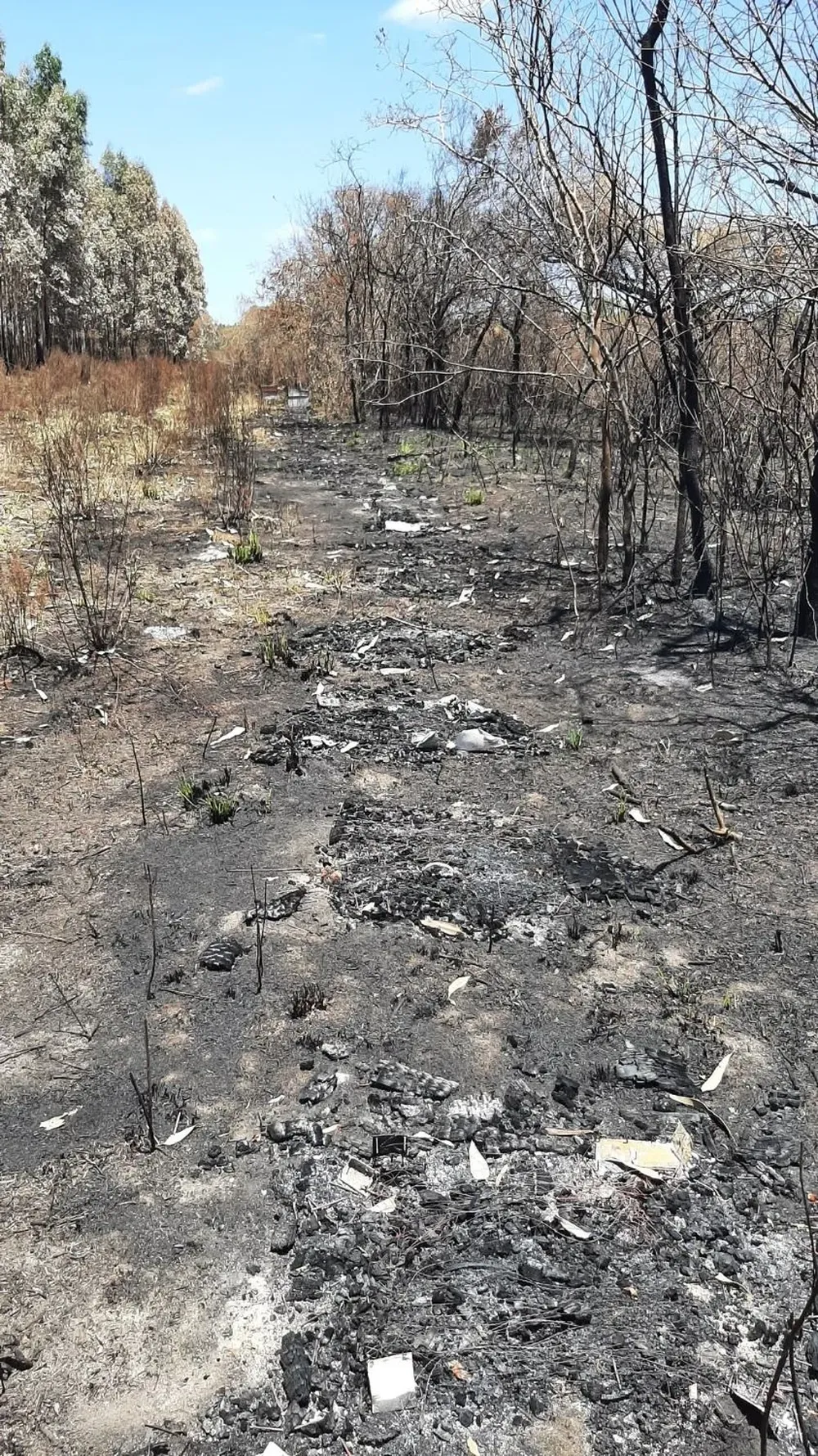 El incendio que afectó varias zonas de Paysandú en el verano pasado originó el proyecto.