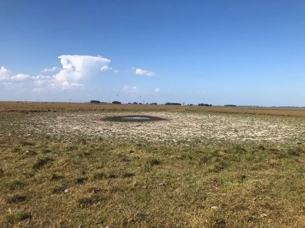 Para el primer trimestre del año se esperan pocas lluvias y altas temperaturas.