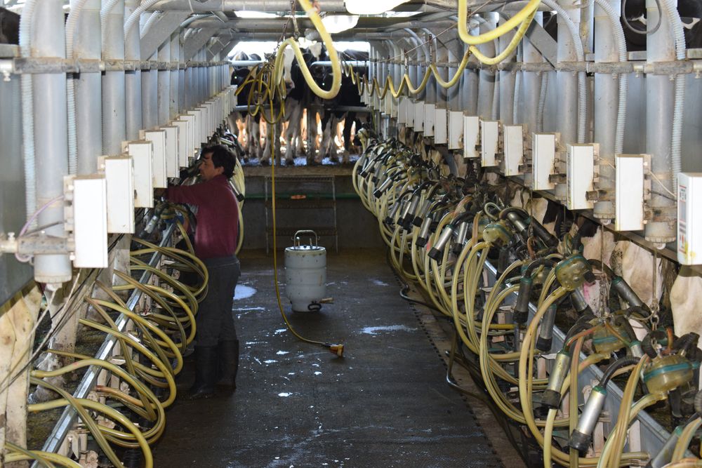 Inale informó sobre un nuevo mes con datos de producción y remisión al alza.