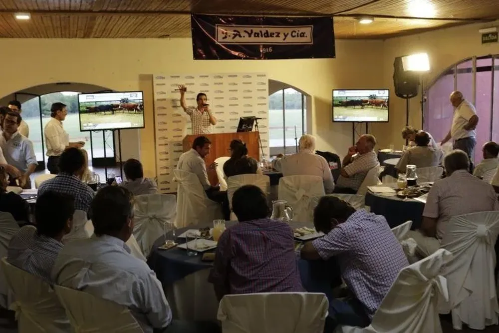 En esta ocasión se rematará desde la Sociedad de Fomento de Flores, en Trinidad.