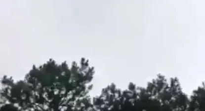 fiscal dice que no fue delito tirar el cordero por un helicoptero; penalistas lo explican