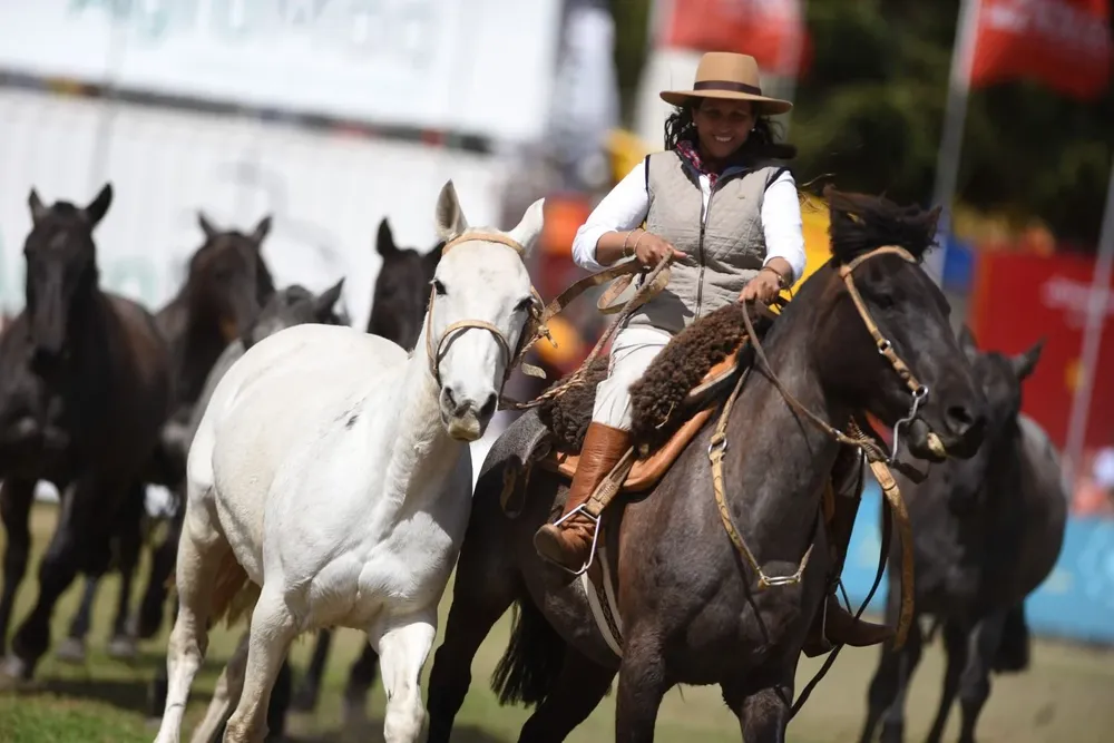 Concurso de tropillas entabladas en la Expo Prado.