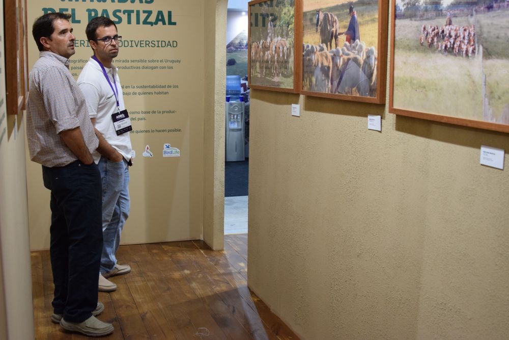 INAC y su propuesta en el stand de Agro en Punta: las fotos que muestran el valor de los pastizales y los pastores de Uruguay.