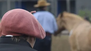 El MGAP mantiene todas las restricciones y recomendaciones de manejo con equinos.