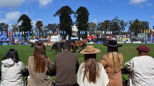 Expo Prado 2024: tercer concurso de tropillas entabladas, en el ruedo de la Rural del Prado.