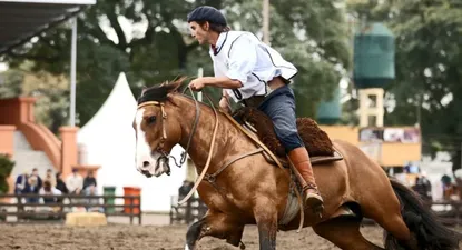 El Observador | 0001852567.webp