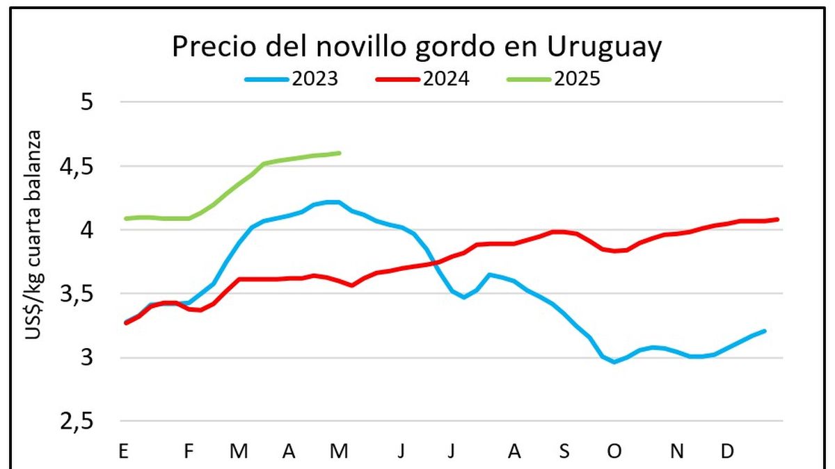 El precio de los novillos lleva 11 semanas seguidas de suba y la faena superó las 52 mil cabezas vacunas