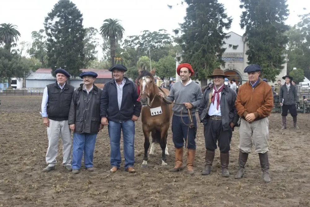 La Gran Campeona junto al expositor, el cabañero, el jurado y autoridades de Criollos.