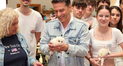 Protegerán lechuzas blancas en una escuela de Torrox