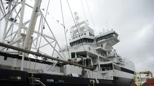 El krill de la Antártida que pasa por Uruguay y se exporta al mundo