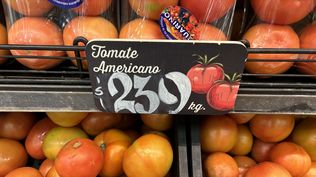 Tomate: precio del kilo este lunes 27 en un supermercado del barrio Sur, en Montevideo.