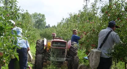 El Observador | 0014825790.webp