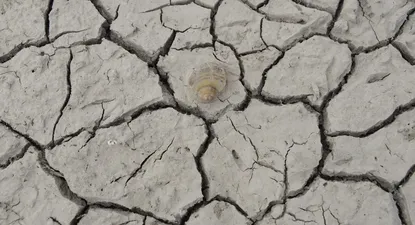 “La mitad de la población mundial afrontará una grave escasez de agua en los próximos ocho años