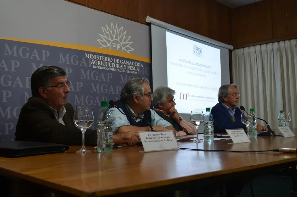 Autoridades del MGAP y OIE evaluaron avances del programa sanitario para exportar carne ovina con hueso