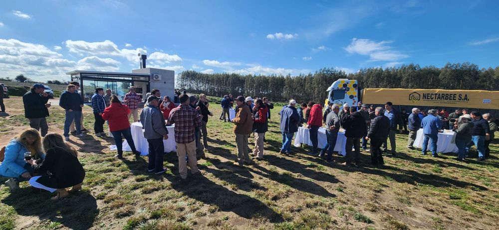 Primera Jornada de Apicultura organizada por Nectarbee, en 2023.