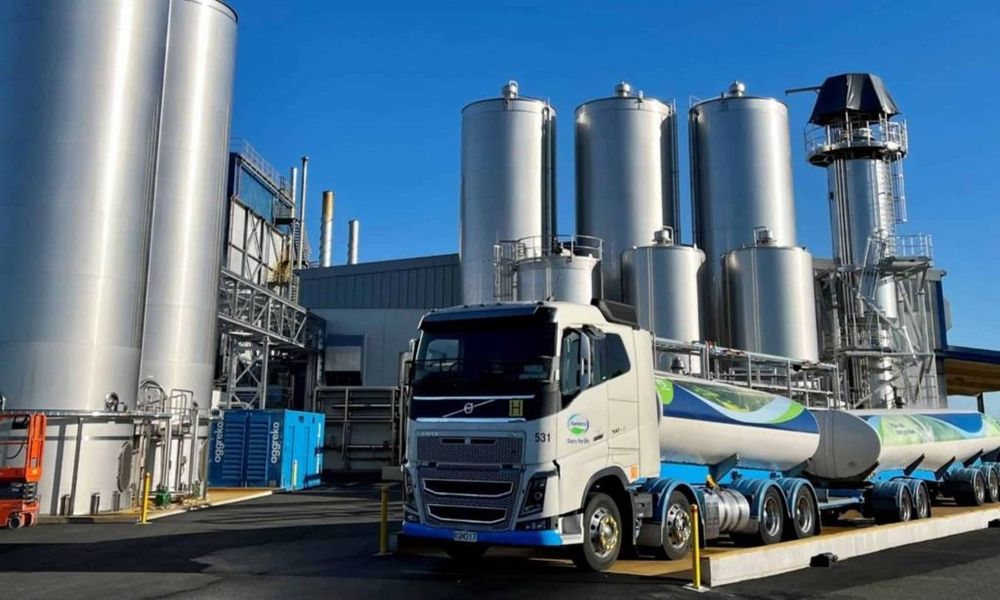 Lácteos: precios a la baja, aunque en niveles poco notorios.