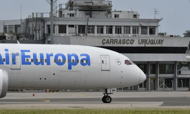 La aerolínea española espera finalizar el corriente año con más de 12 millones de pasajeros transportados
